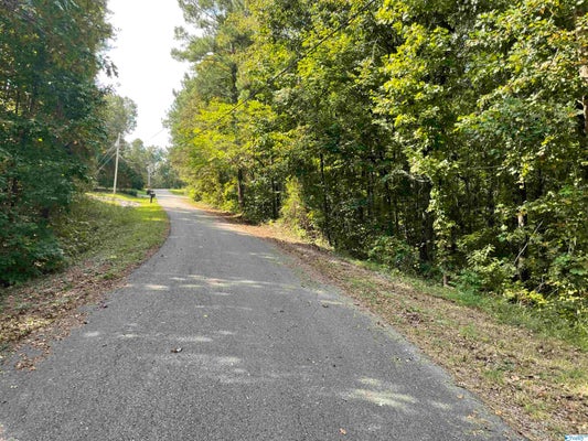 0.53 +/- ACRES MOUNTAIN TOP ROAD, SOUTHSIDE, AL 35907 - Image 95f3b8a15f39cfd31fda398755e99457/1857241722