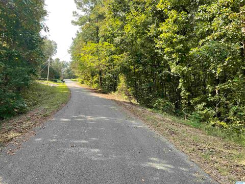 Vacant Land For Sale - 0.53 +/- ACRES Mountain Top Road<br/> Etowah County, Southside, AL 35907