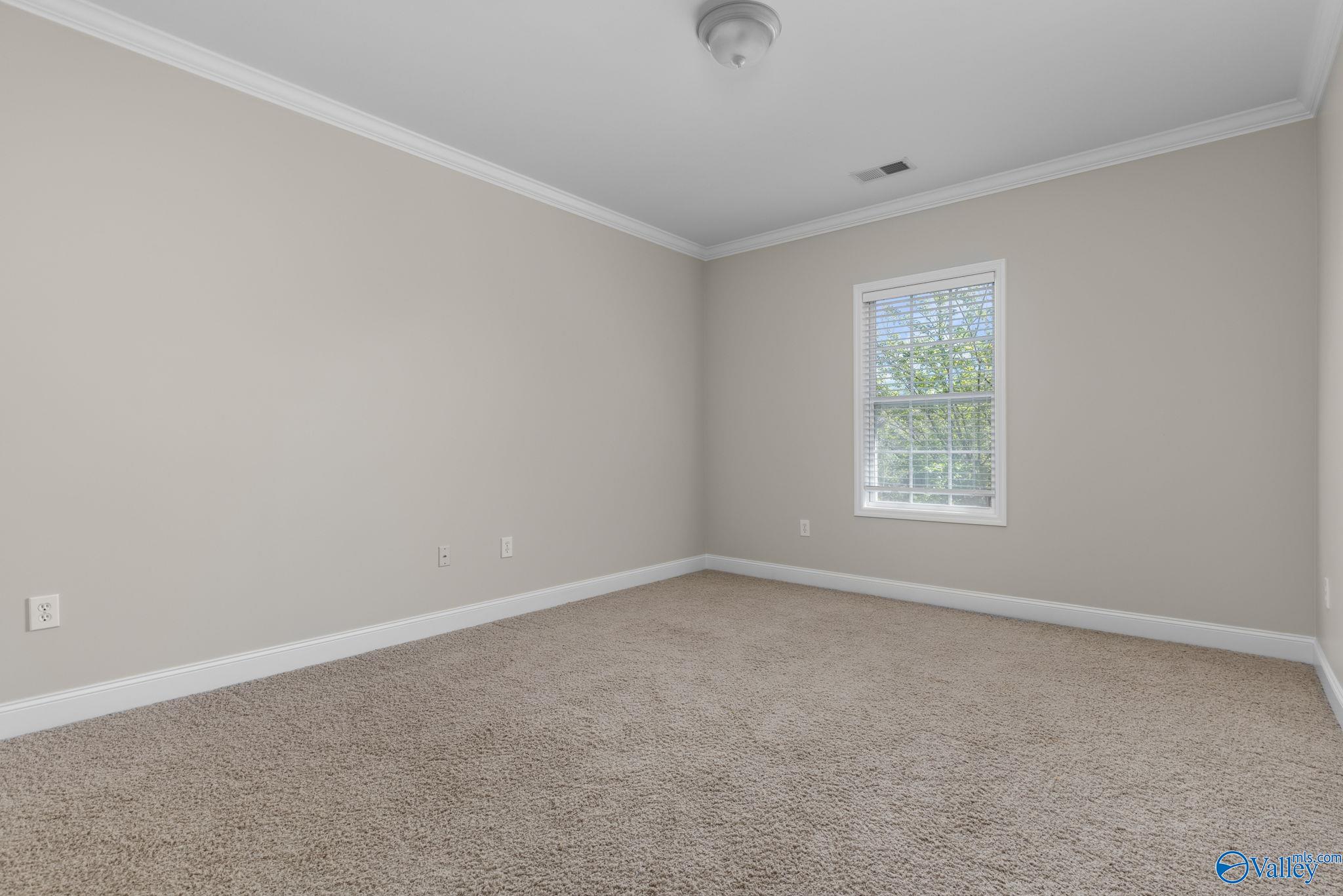 129 Mill Ridge Drive, Madison, Alabama image 33