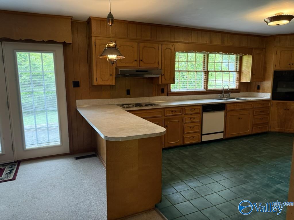 106 Nottingham Road, Rainbow City, Alabama image 5
