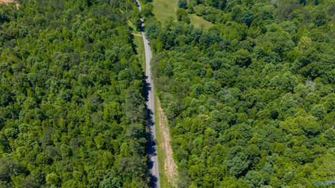 Vacant Land For Sale - 53 ACRES Beason Cove Road<br/> Saint Clair County, Steele, AL 35987