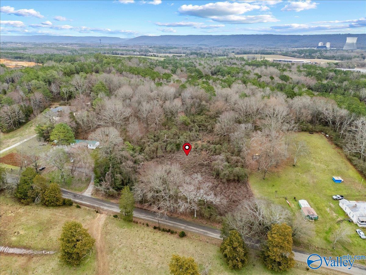 4 Acres County Road 42, Hollywood, Alabama image 10