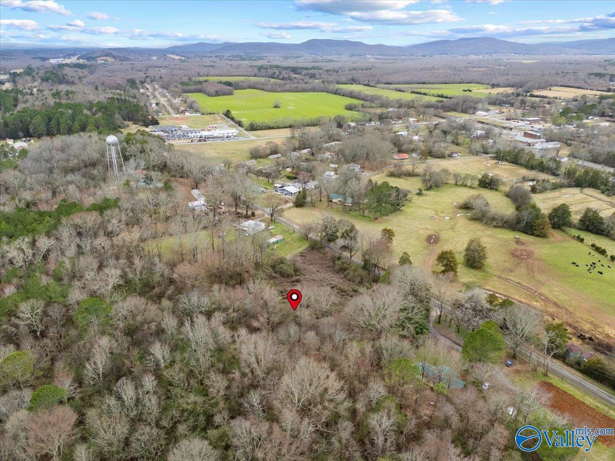 4 Acres County Road 42, Hollywood, Alabama image 25