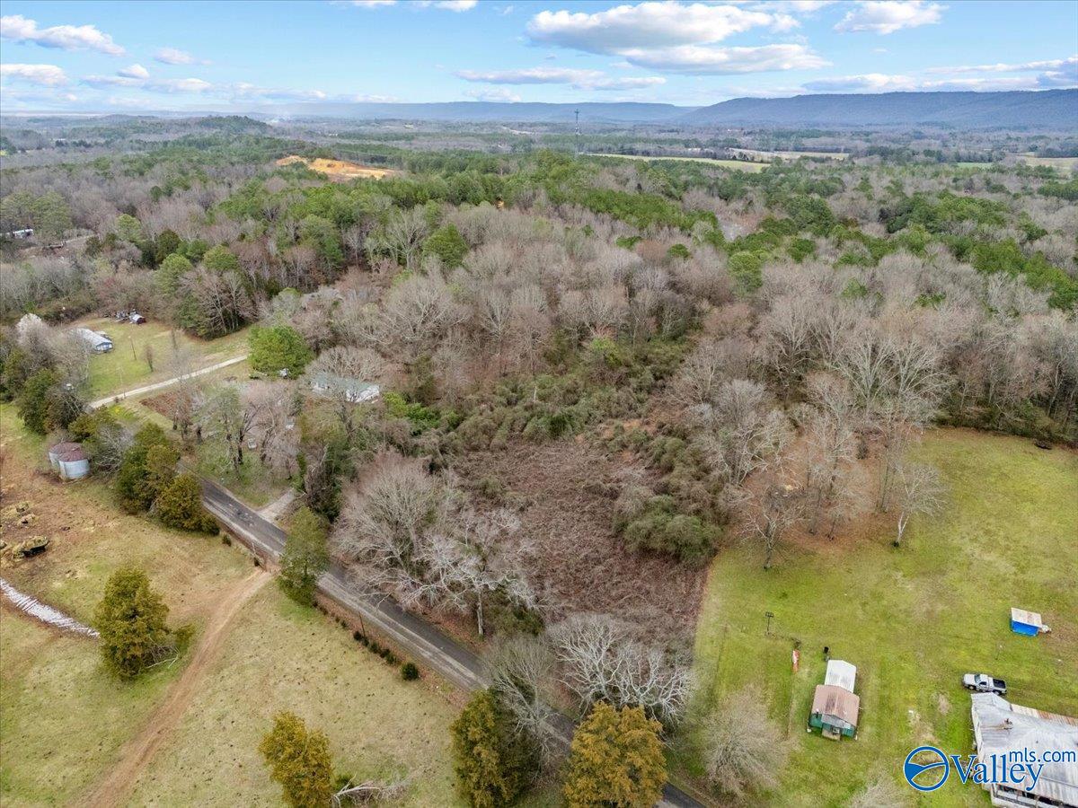 4 Acres County Road 42, Hollywood, Alabama image 13