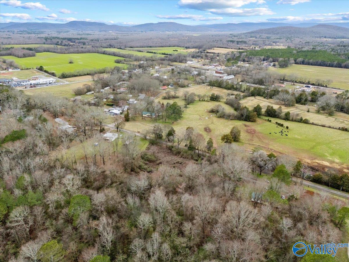 4 Acres County Road 42, Hollywood, Alabama image 24