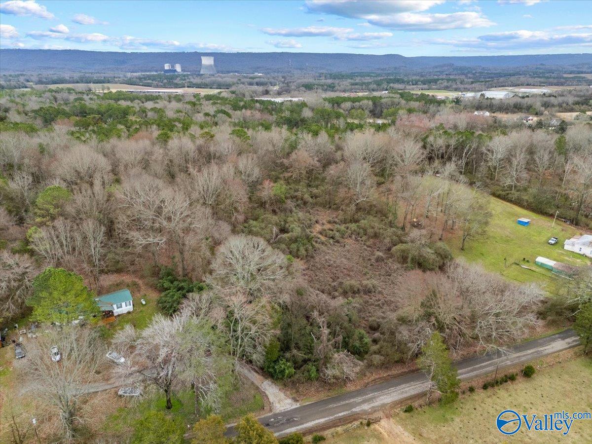 4 Acres County Road 42, Hollywood, Alabama image 2