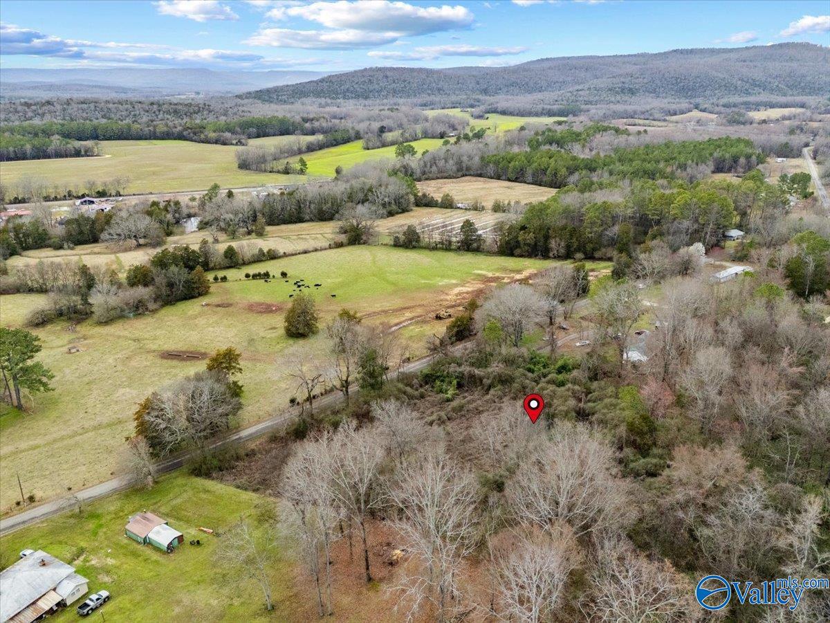 4 Acres County Road 42, Hollywood, Alabama image 17