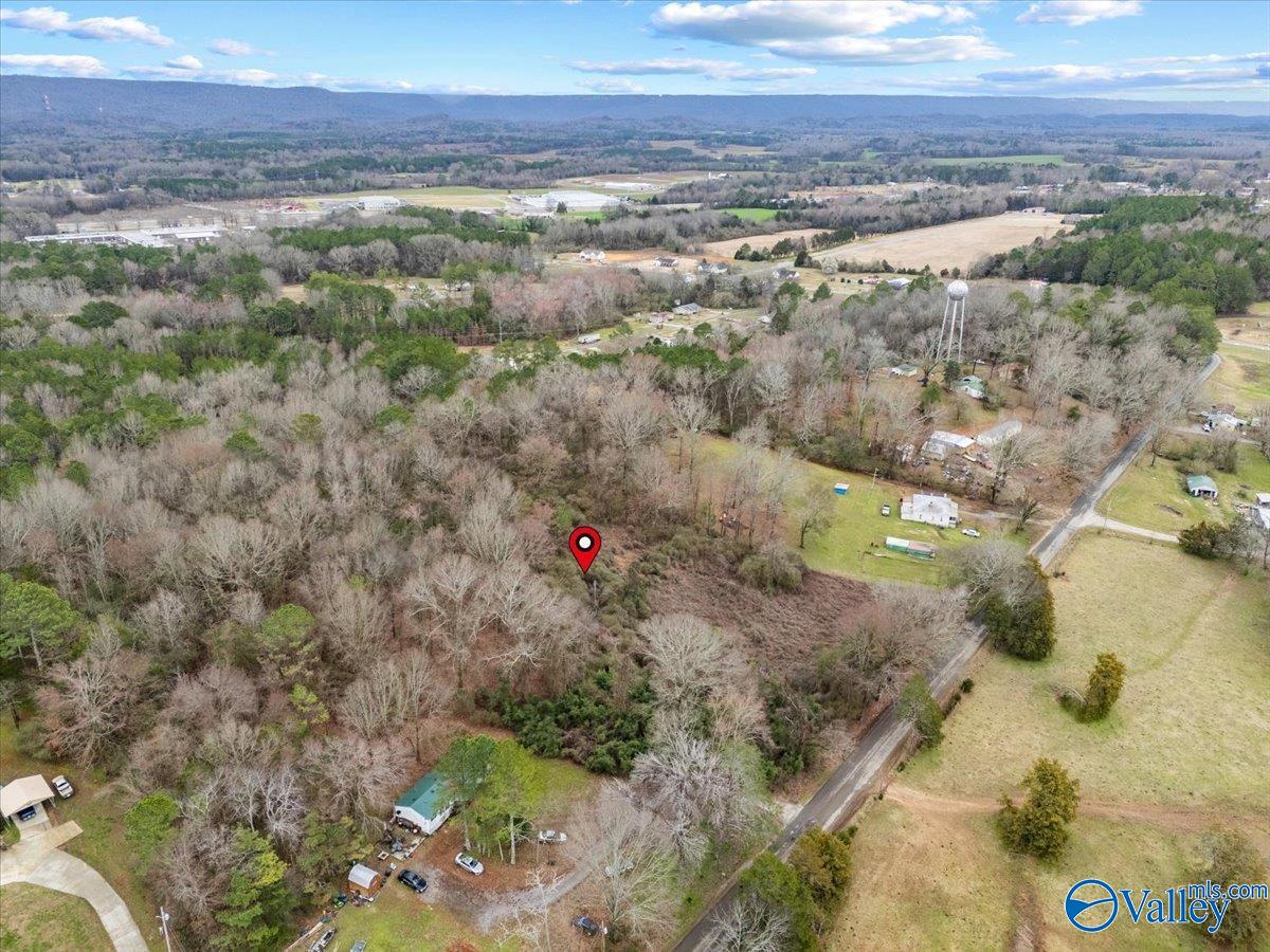 4 Acres County Road 42, Hollywood, Alabama image 28