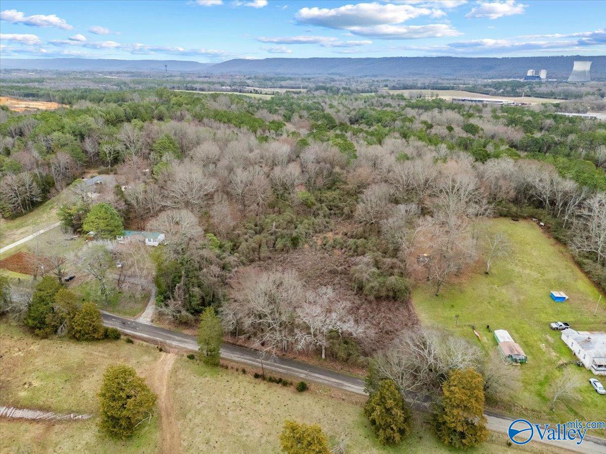4 Acres County Road 42, Hollywood, Alabama image 11