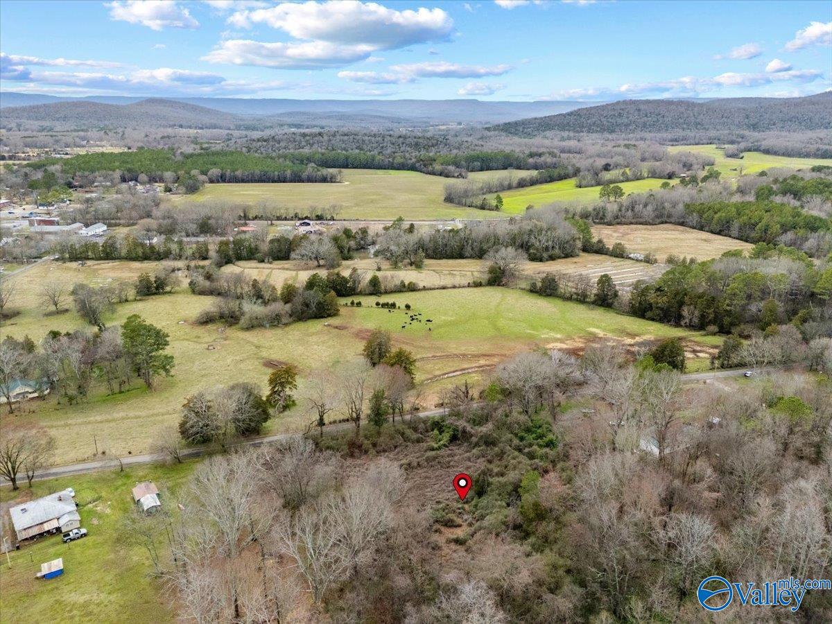 4 Acres County Road 42, Hollywood, Alabama image 19