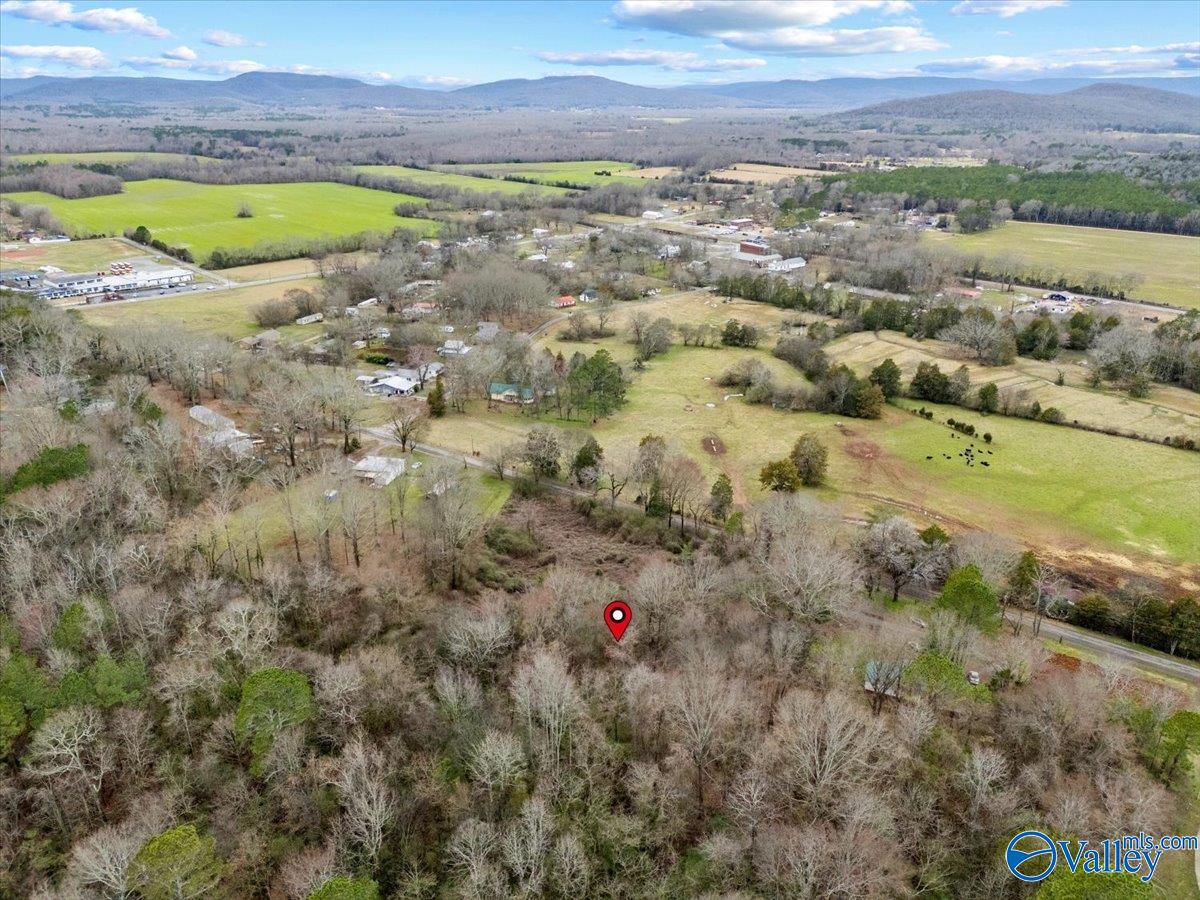 4 Acres County Road 42, Hollywood, Alabama image 23