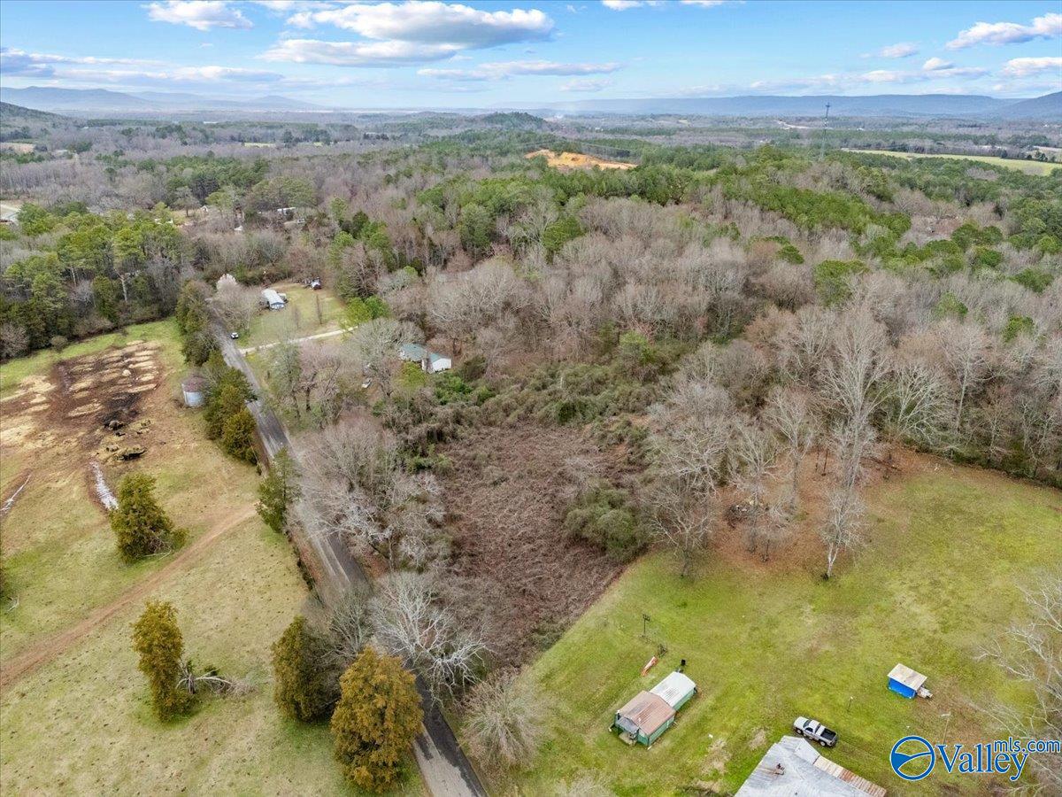 4 Acres County Road 42, Hollywood, Alabama image 15