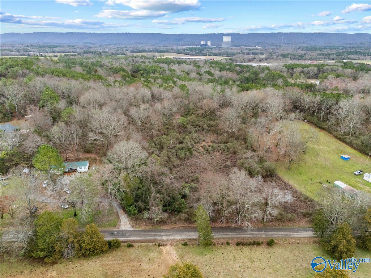 4 Acres County Road 42, Hollywood, Alabama image 9