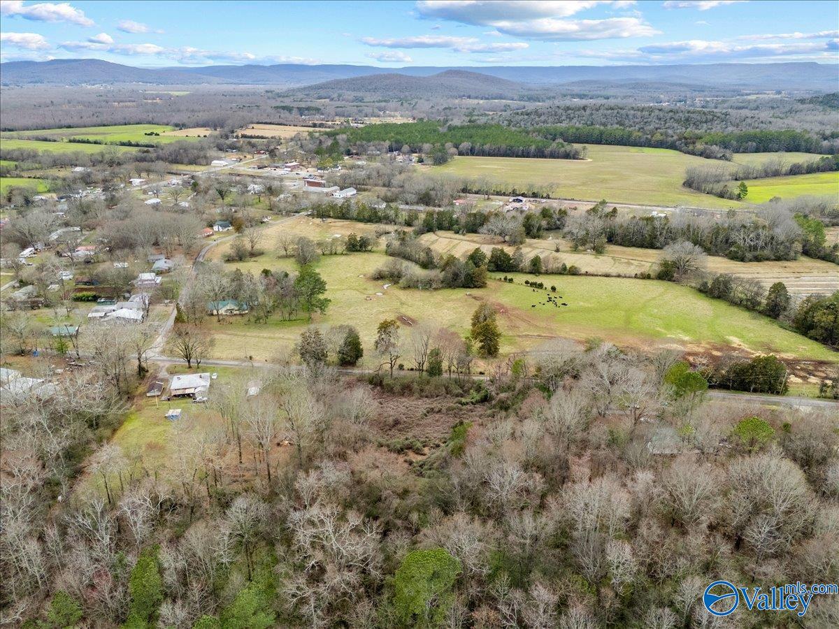 4 Acres County Road 42, Hollywood, Alabama image 22