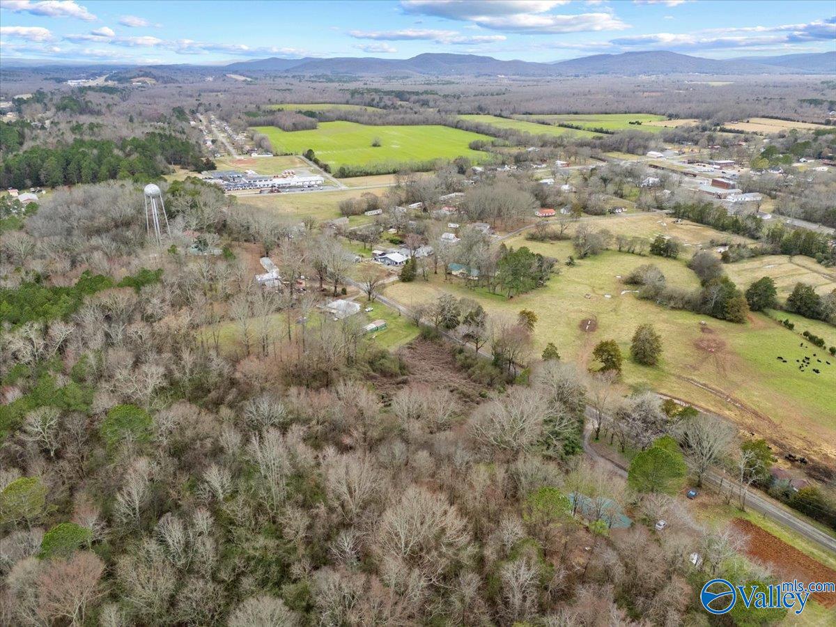 4 Acres County Road 42, Hollywood, Alabama image 26
