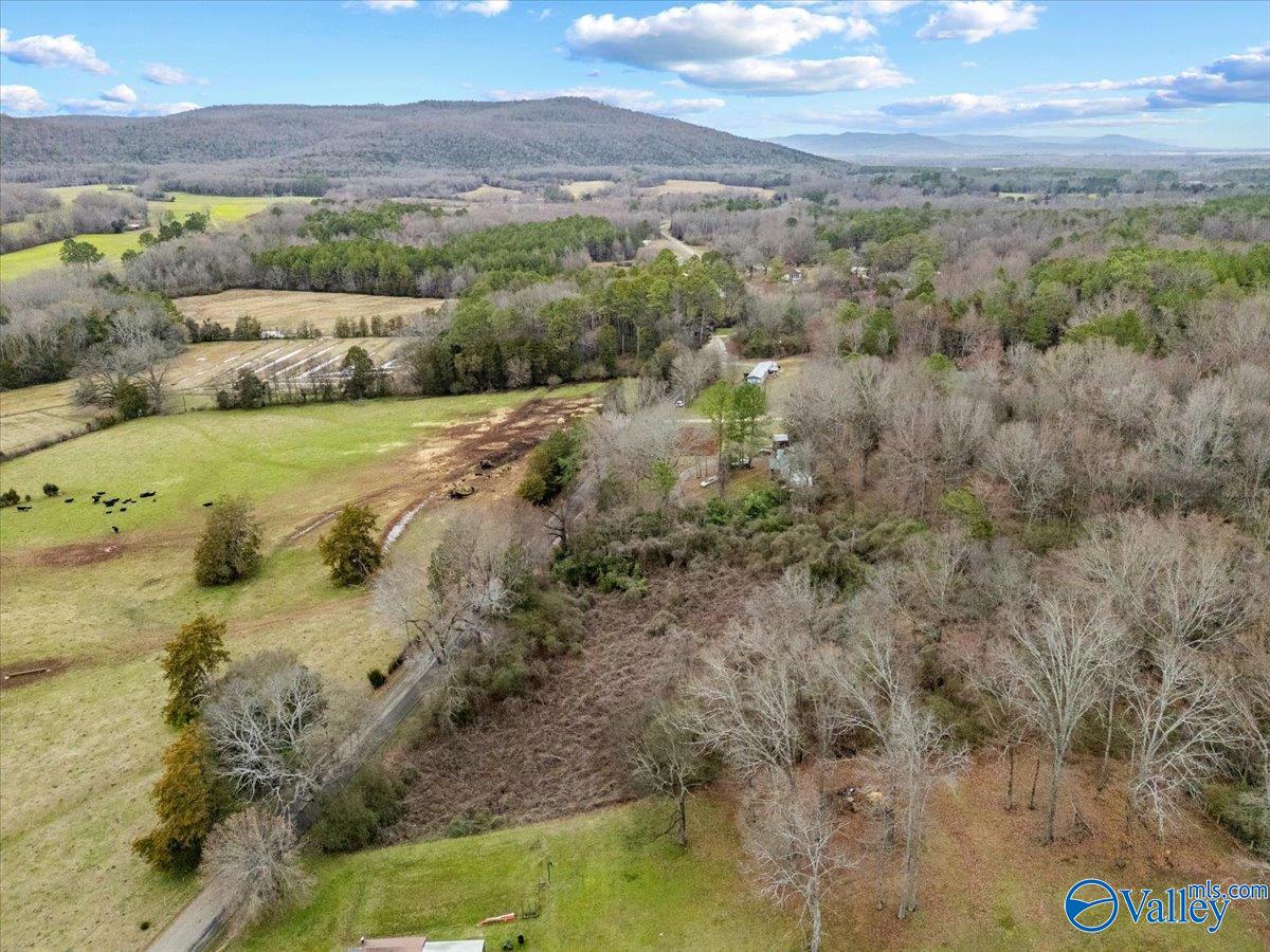 4 Acres County Road 42, Hollywood, Alabama image 3