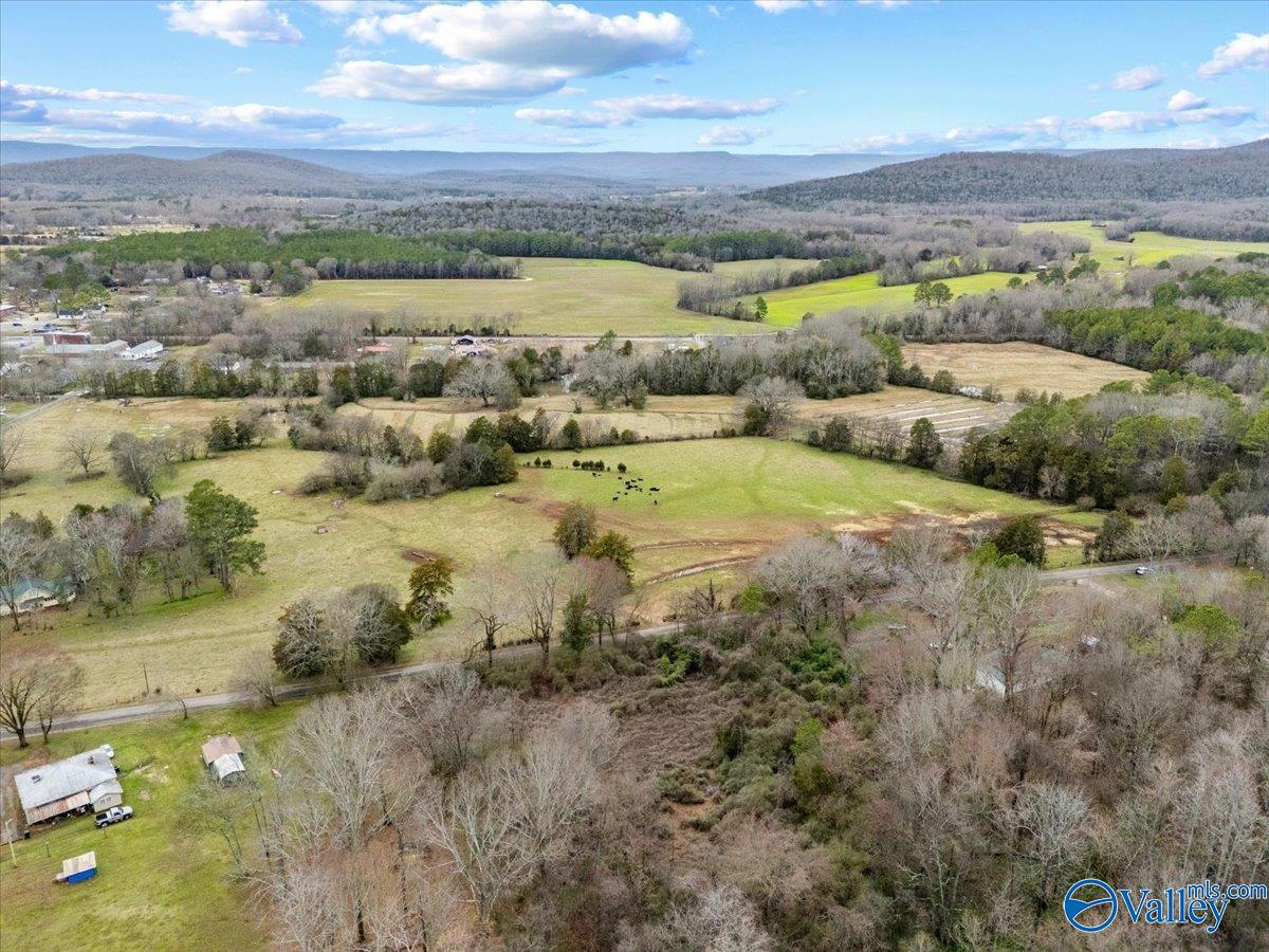 4 Acres County Road 42, Hollywood, Alabama image 20