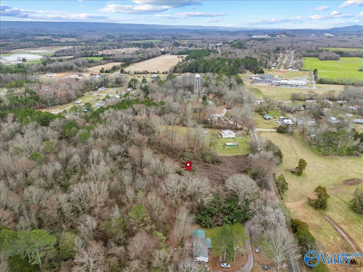 4 Acres County Road 42, Hollywood, Alabama image 4