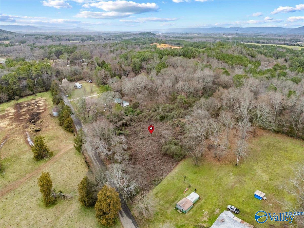 4 Acres County Road 42, Hollywood, Alabama image 14