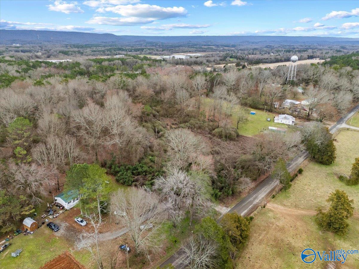 4 Acres County Road 42, Hollywood, Alabama image 6