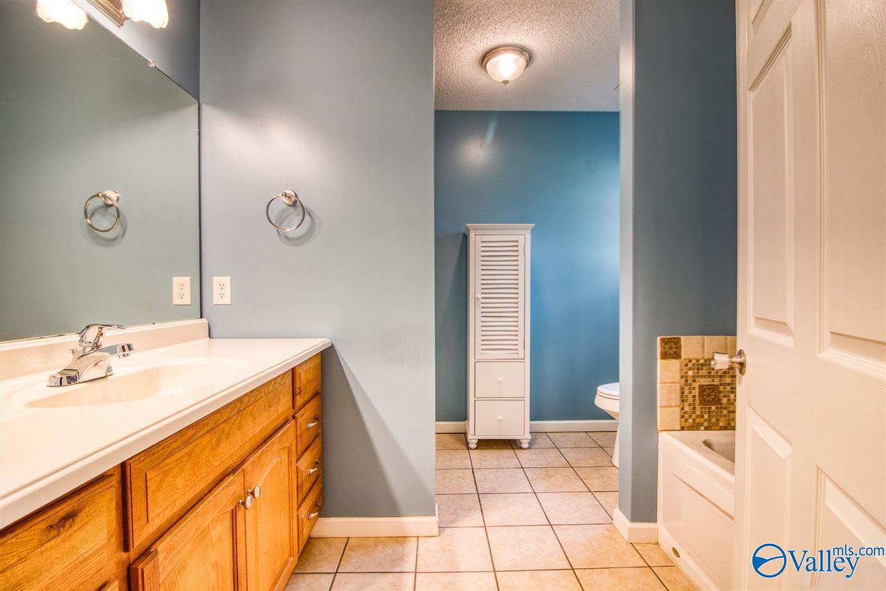 328 Land Circle, Albertville, Alabama image 17
