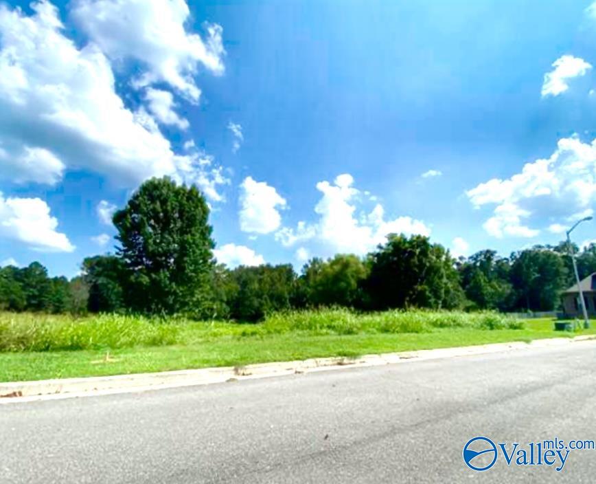 Lot 17 Woodbury Lane, Albertville, Alabama image 2