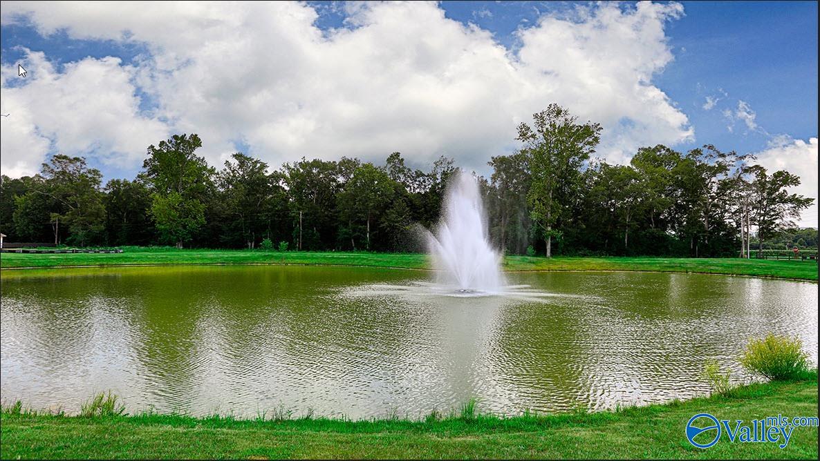 8500 Sophia Nicolle Court, Gurley, Alabama image 28