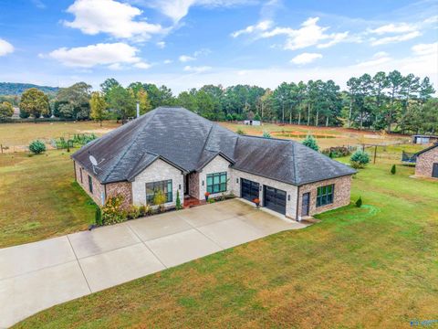 Homes For Sale - 3149 Old Railroad Bed Road<br/> Harvest, AL 35749