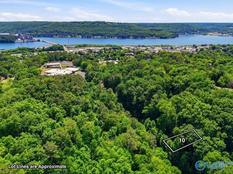 Vacant Land For Sale - LOT 10 Lusk Street<br/> Guntersville, AL 35976