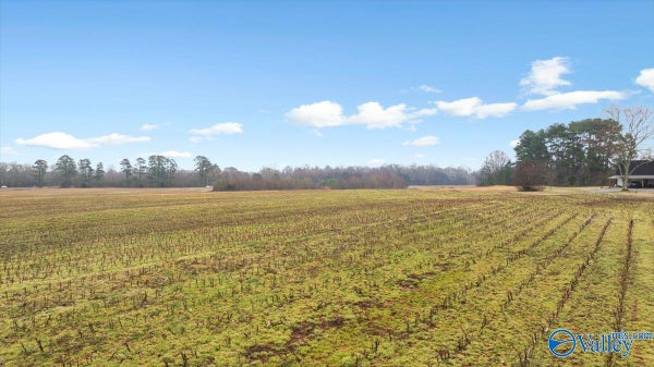 169 LOVELESS RD, HAZEL GREEN, AL 35750 - Image 9699e66978fe3f50776ce21cffc39bfb/601023651