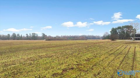 Vacant Land For Sale - 5 ACRES Loveless Road<br/> Hazel Green, AL 35750