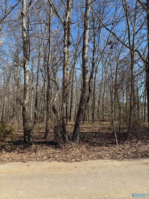Vacant Land For Sale - 1 ACRE Honea Road<br/> Hazel Green, AL 35750