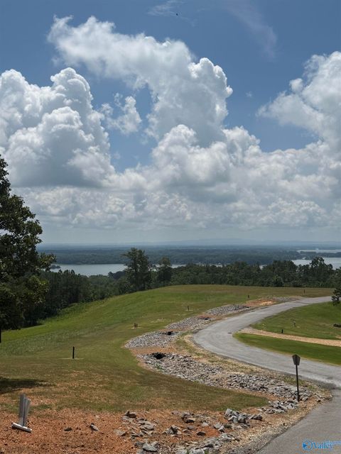 Vacant Land For Sale - LOT 61 County Road 767 #61<br/> Cherokee County, Cedar Bluff, AL 35959