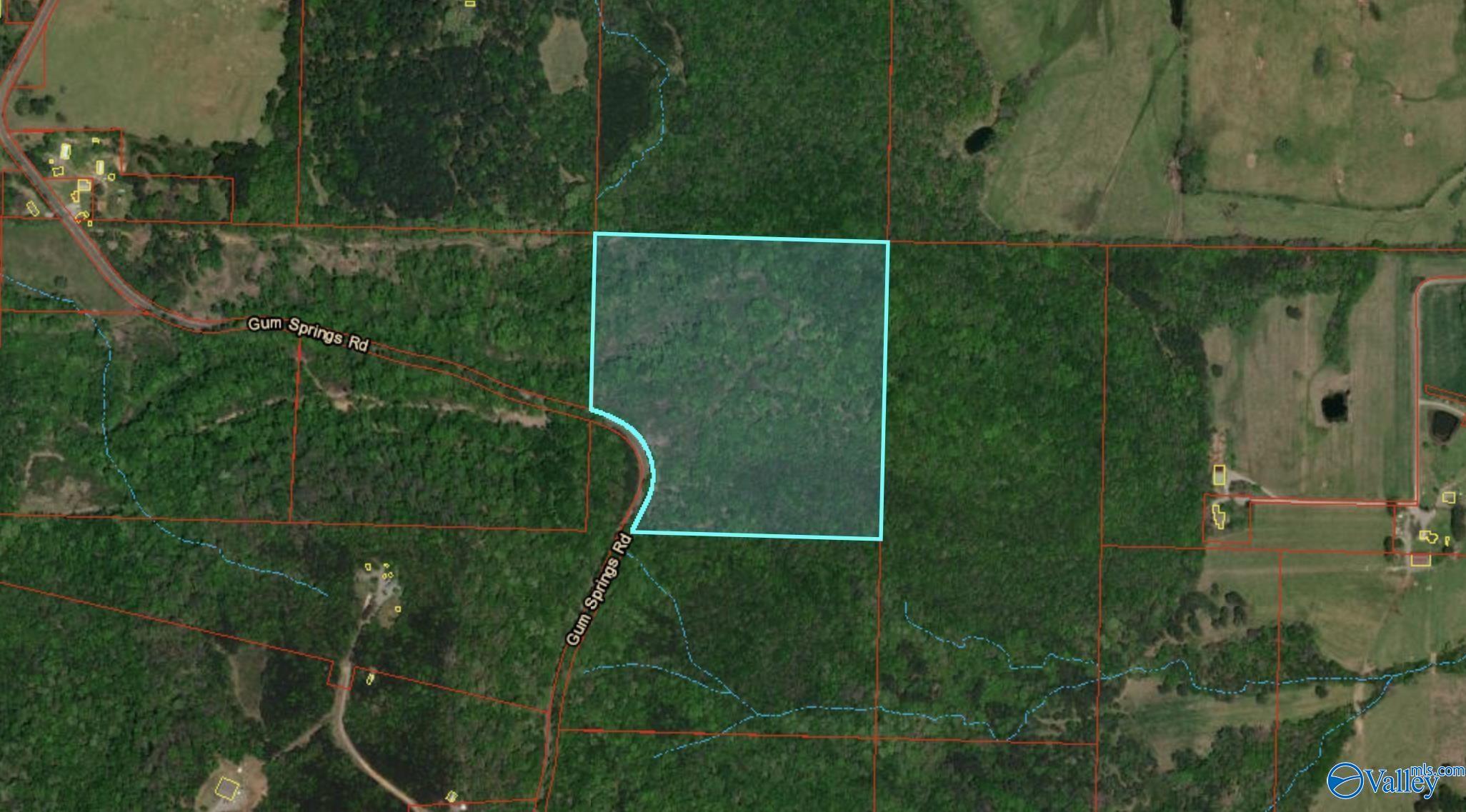 1111 Gum Springs Road, Hartselle, Alabama image 13
