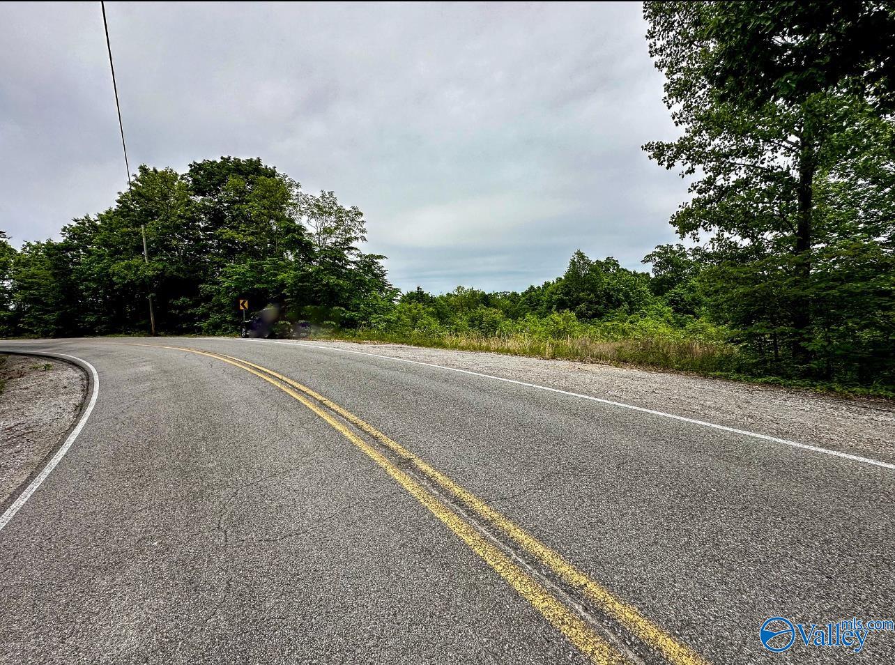 1111 Gum Springs Road, Hartselle, Alabama image 11