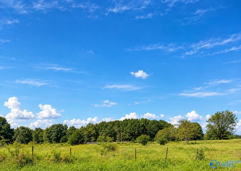 Vacant Land For Sale - 53 ACRES Ervin Patterson Road<br/> Albertville, AL 35951