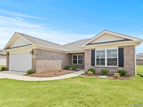 Homes For Sale - 141 Domingues Avenue<br/> Meridianville, AL 35759