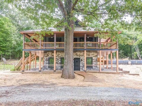 Photo of 487 County Road 585, Cedar Bluff, AL 35959 (MLS # 21917111)
