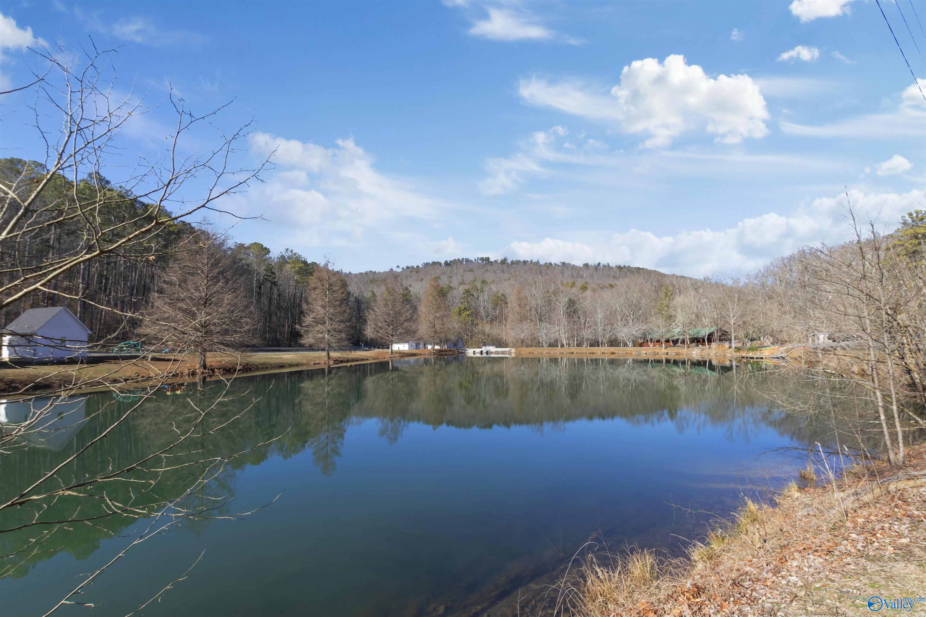10360 Alabama Highway 227