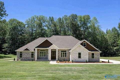 Photo of 273 Goose Pond Island Drive, Scottsboro, AL 35769 (MLS # 21909773)