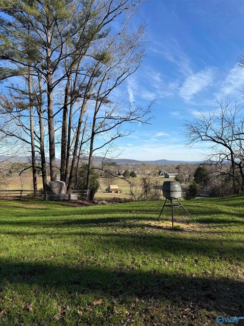 Vacant Land For Sale - 226 Walter Bird Drive<br/> Owens Cross Roads, AL 35763