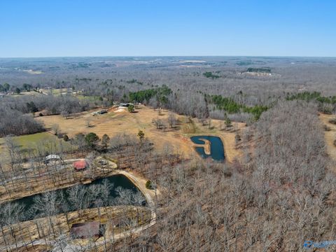 Homes For Sale - 3242 County Road 11<br/> Florence, AL 35633