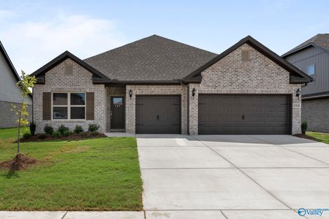 Homes For Sale - 164 Saddle Street<br/> New Market, AL 35761