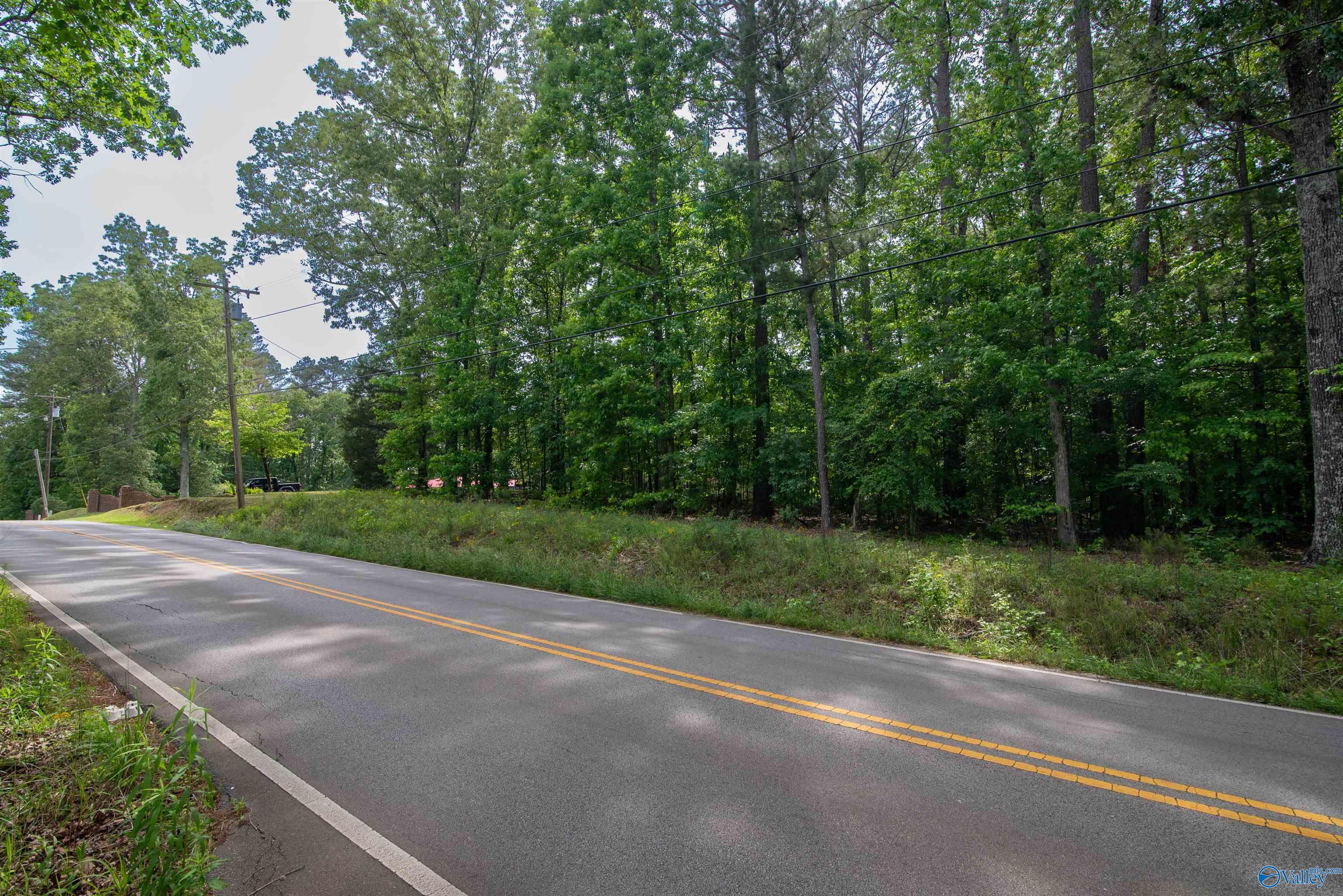 1.6 Norris Mill Road, Hartselle, Alabama image 21