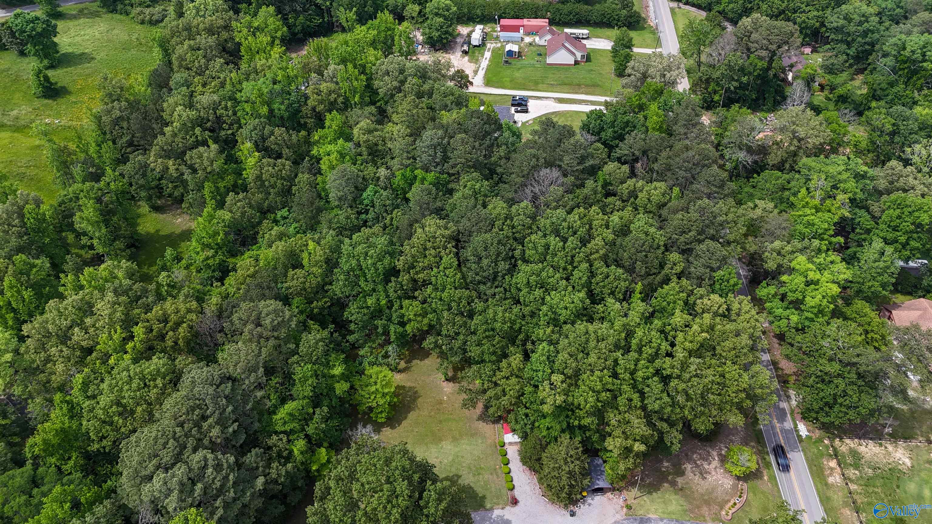 1.6 Norris Mill Road, Hartselle, Alabama image 13