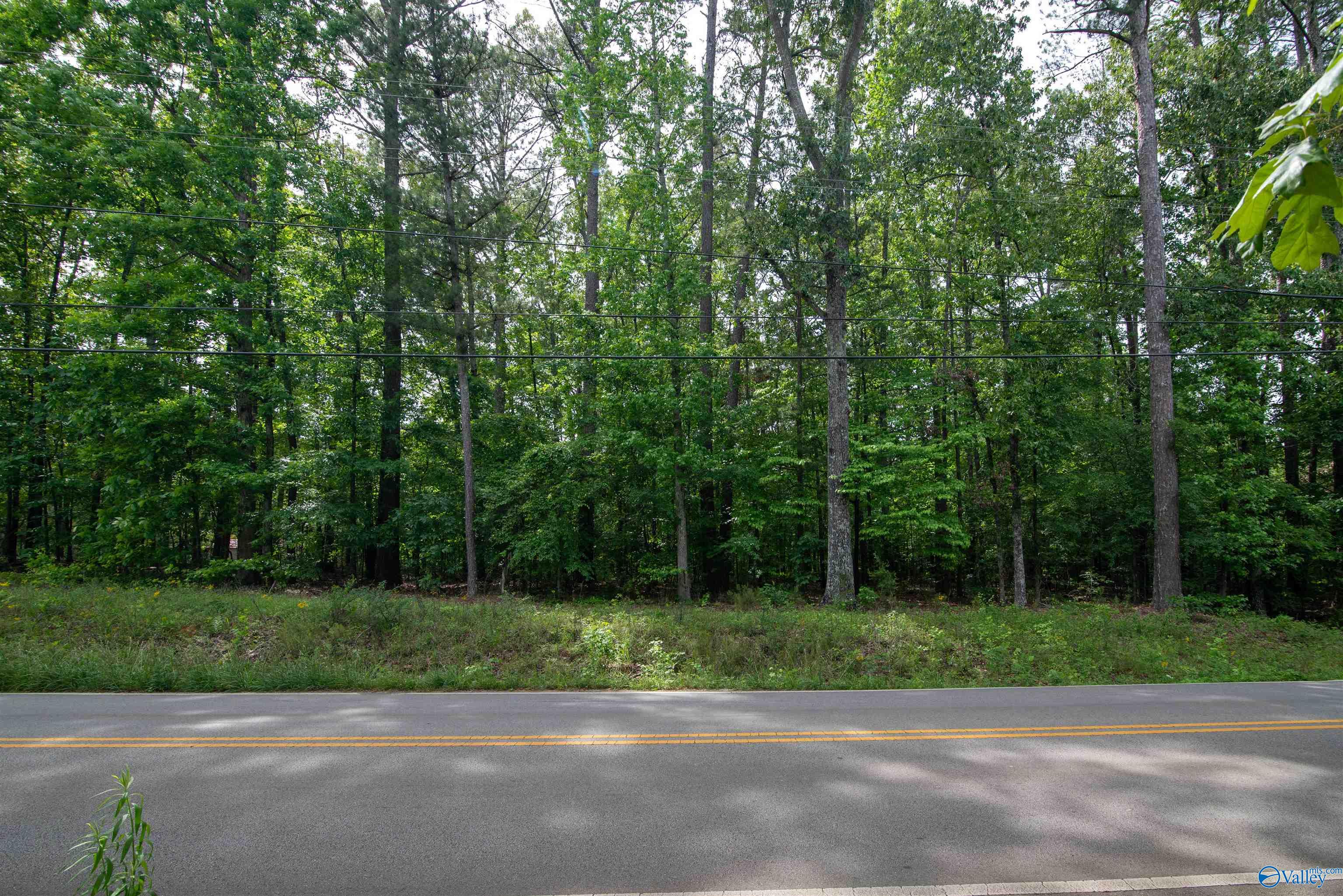 1.6 Norris Mill Road, Hartselle, Alabama image 20