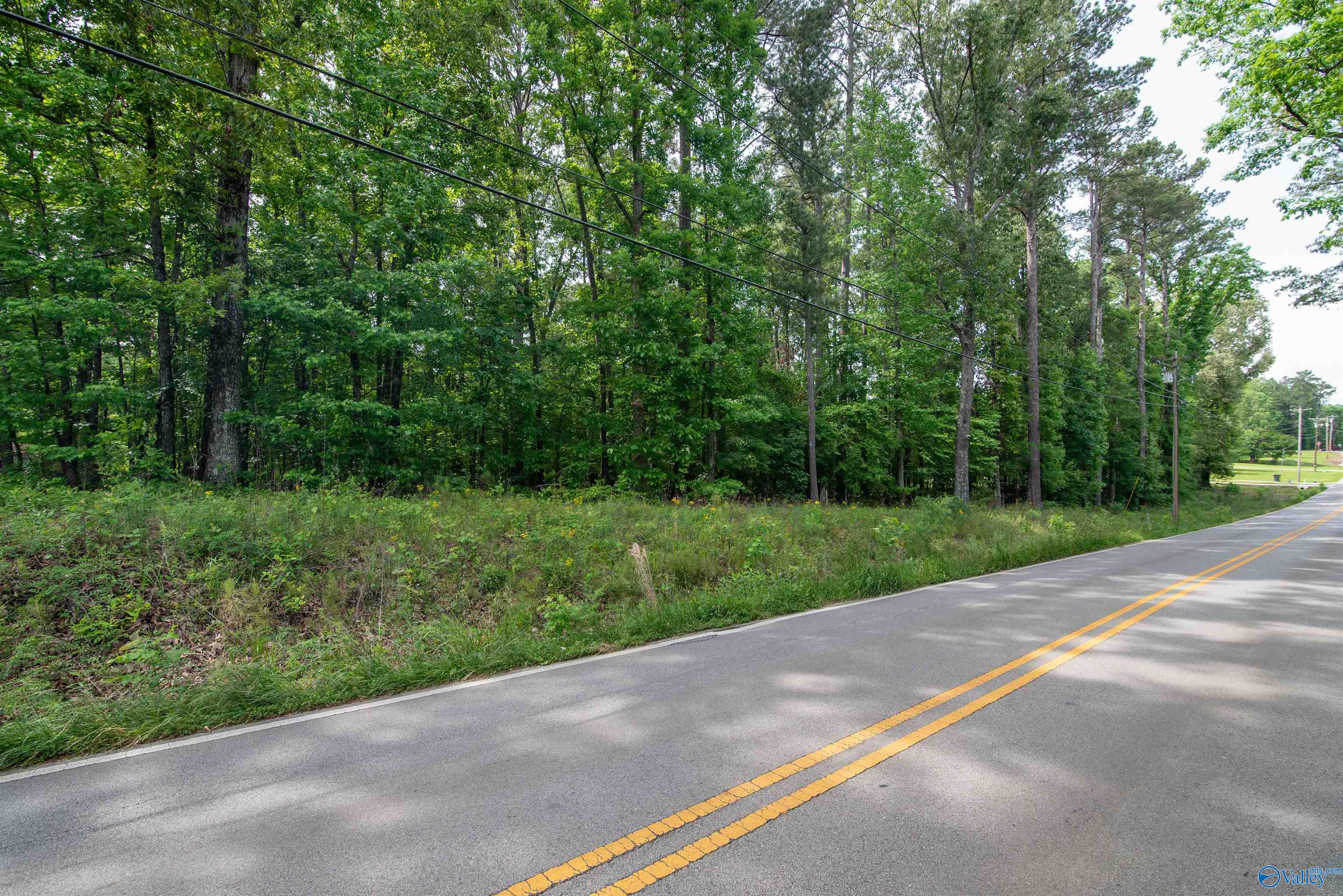1.6 Norris Mill Road, Hartselle, Alabama image 19
