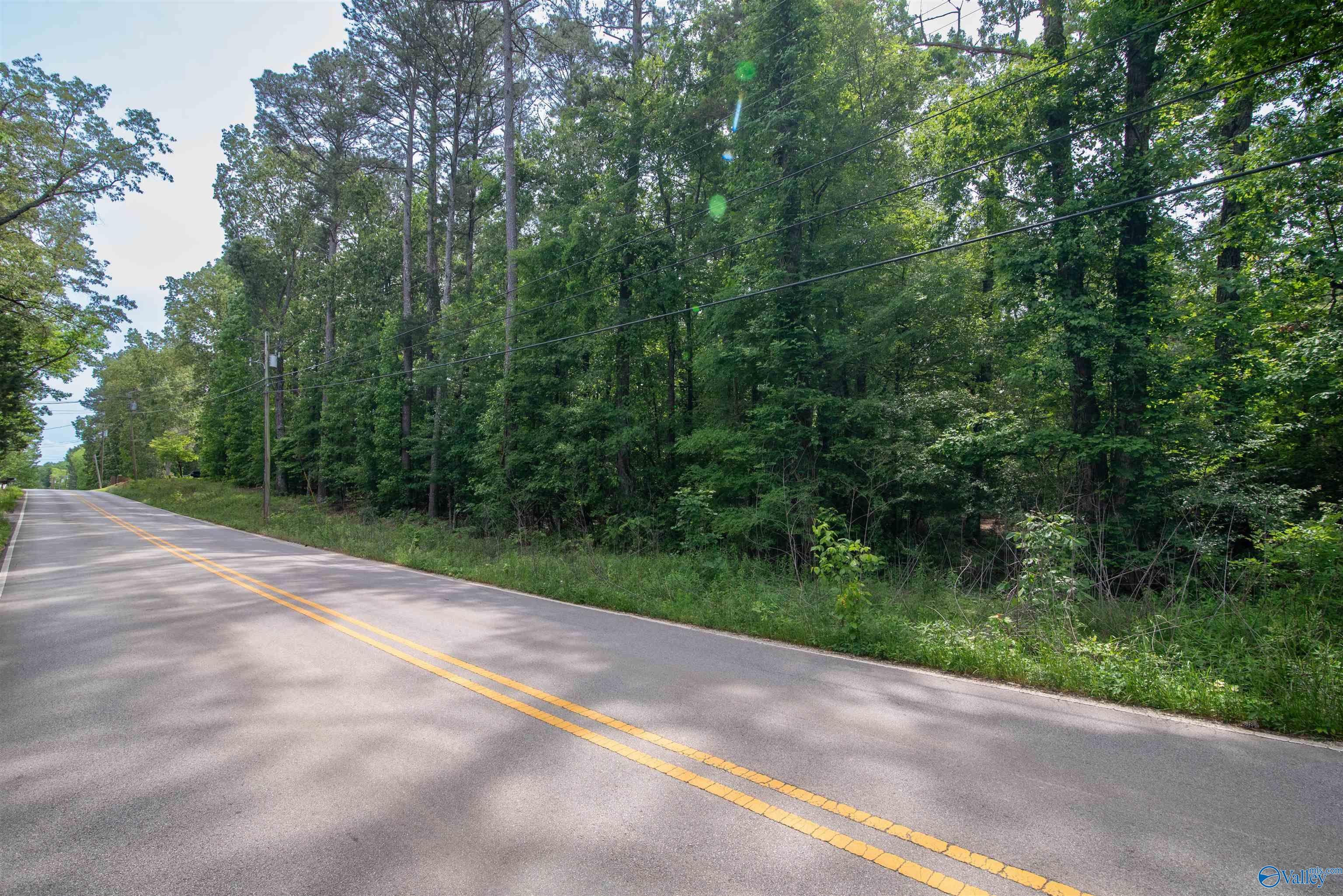 1.6 Norris Mill Road, Hartselle, Alabama image 23