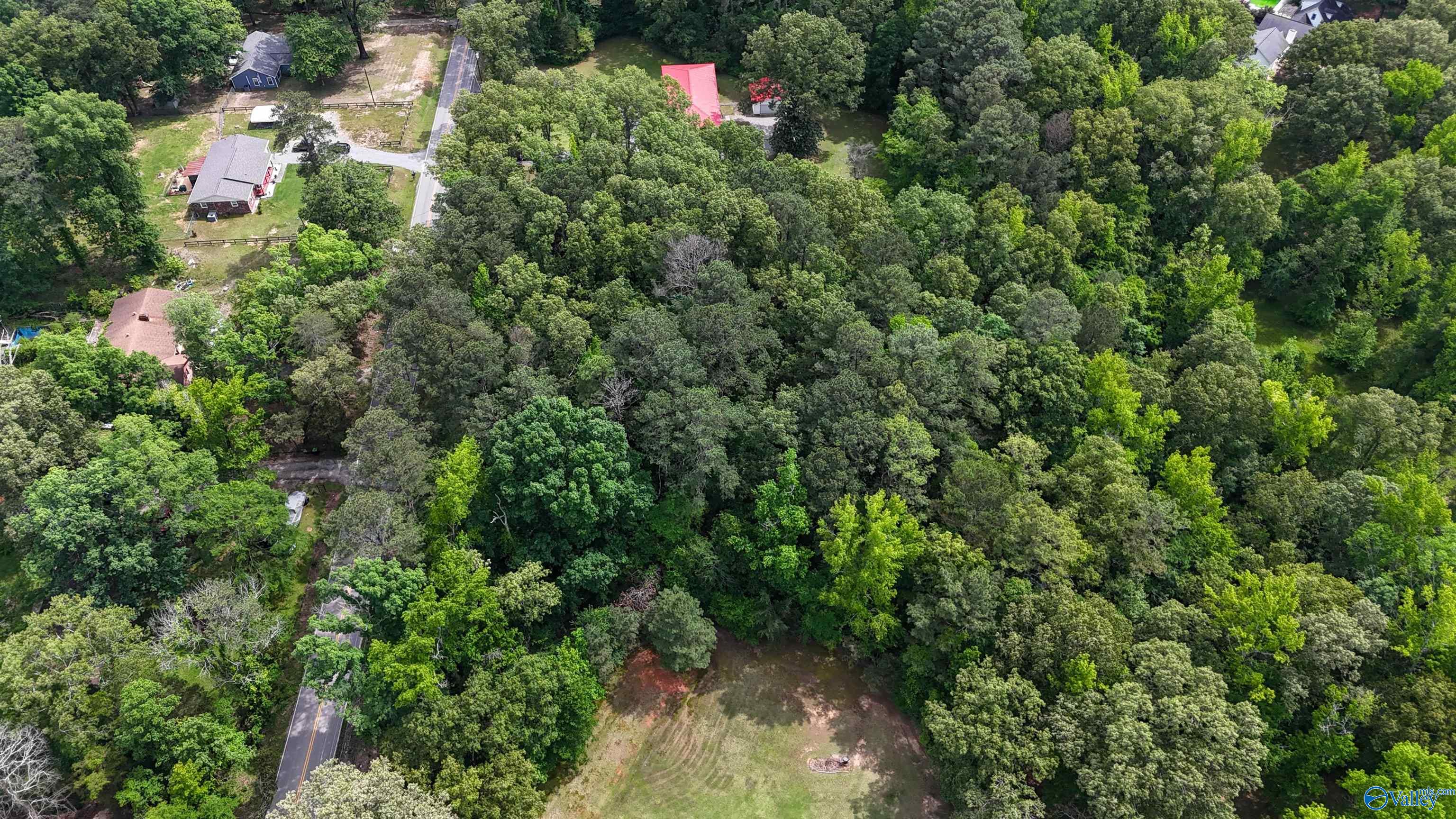 1.6 Norris Mill Road, Hartselle, Alabama image 12