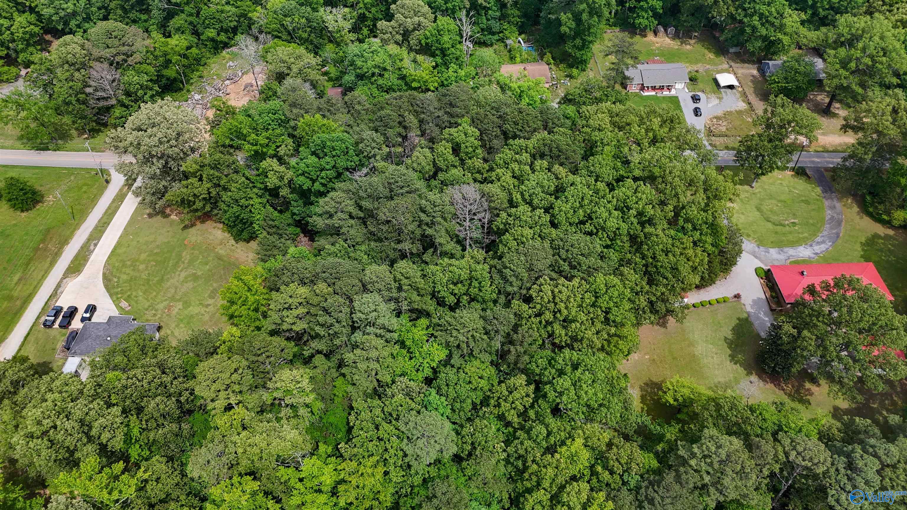 1.6 Norris Mill Road, Hartselle, Alabama image 10